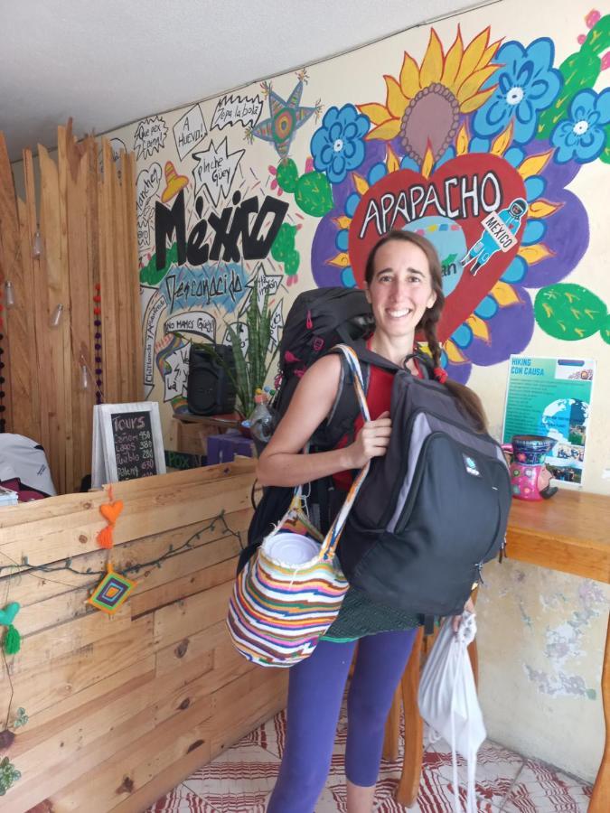 Casa Apapacho Hostel San Cristobal de las Casas Ngoại thất bức ảnh
